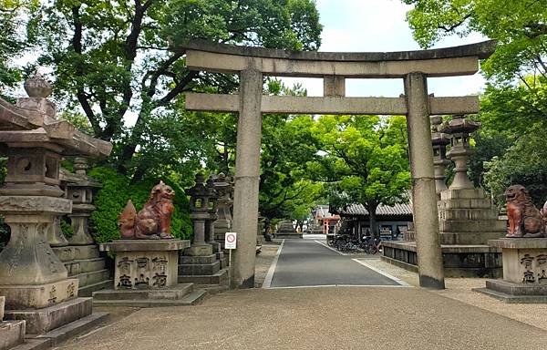 【國寶級神社-住吉大社】大阪必訪能量景點.反橋.住吉神社.種