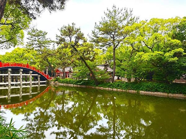 【國寶級神社-住吉大社】大阪必訪能量景點.反橋.住吉神社.種