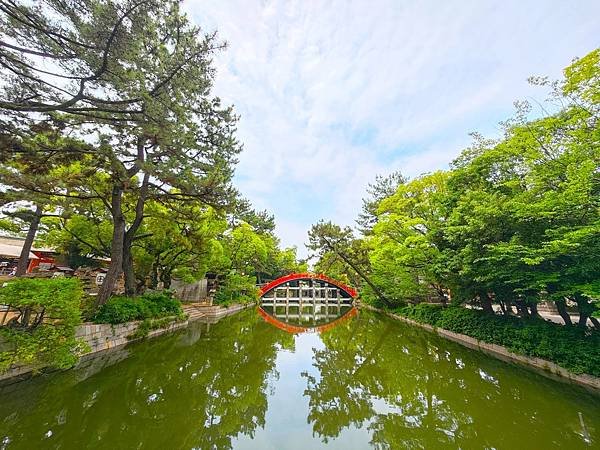 【國寶級神社-住吉大社】大阪必訪能量景點.反橋.住吉神社.種