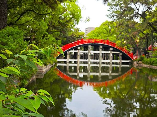 【國寶級神社-住吉大社】大阪必訪能量景點.反橋.住吉神社.種