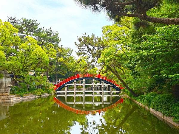 【國寶級神社-住吉大社】大阪必訪能量景點.反橋.住吉神社.種