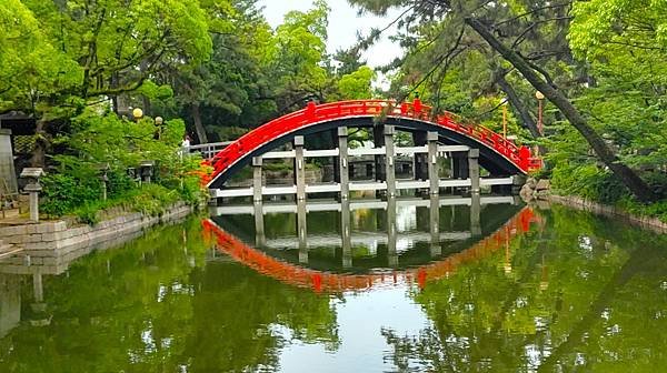 【國寶級神社-住吉大社】大阪必訪能量景點.反橋.住吉神社.種