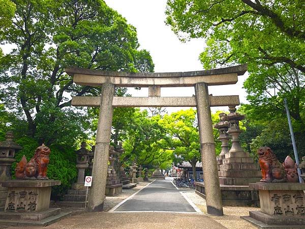 【國寶級神社-住吉大社】大阪必訪能量景點.反橋.住吉神社.種