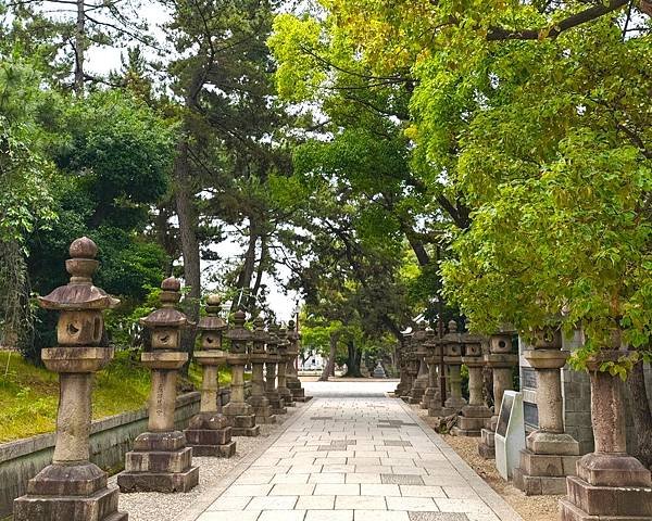 【國寶級神社-住吉大社】大阪必訪能量景點.反橋.住吉神社.種