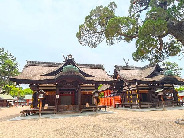 【國寶級神社-住吉大社】大阪必訪能量景點.反橋.住吉神社.種