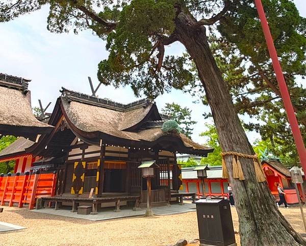 【國寶級神社-住吉大社】大阪必訪能量景點.反橋.住吉神社.種