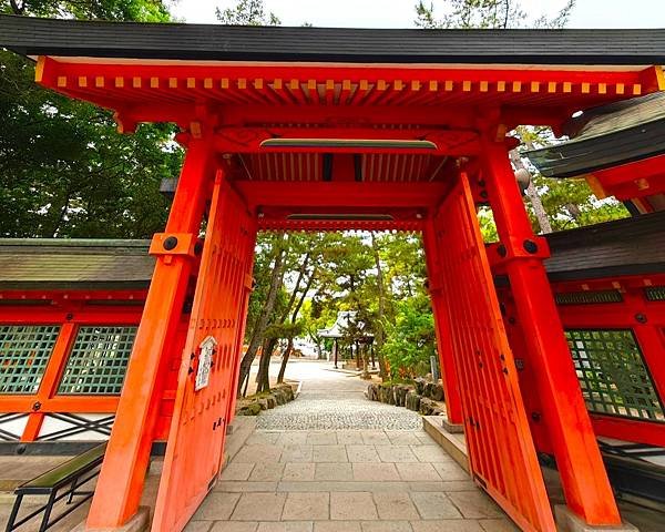 【國寶級神社-住吉大社】大阪必訪能量景點.反橋.住吉神社.種