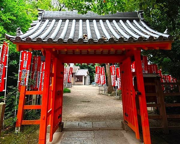 【國寶級神社-住吉大社】大阪必訪能量景點.反橋.住吉神社.種