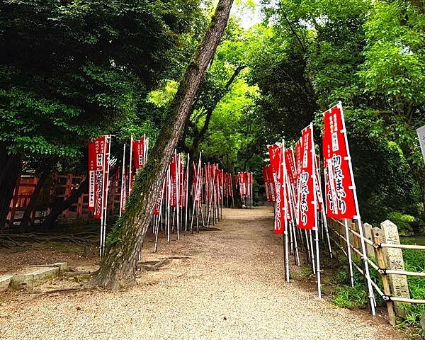 【國寶級神社-住吉大社】大阪必訪能量景點.反橋.住吉神社.種