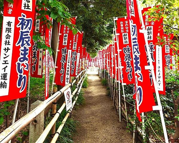 【國寶級神社-住吉大社】大阪必訪能量景點.反橋.住吉神社.種