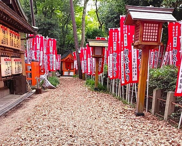 【國寶級神社-住吉大社】大阪必訪能量景點.反橋.住吉神社.種