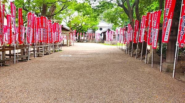 【國寶級神社-住吉大社】大阪必訪能量景點.反橋.住吉神社.種