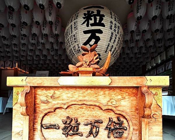 【國寶級神社-住吉大社】大阪必訪能量景點.反橋.住吉神社.種