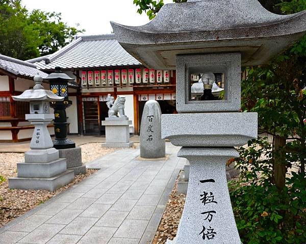 【國寶級神社-住吉大社】大阪必訪能量景點.反橋.住吉神社.種