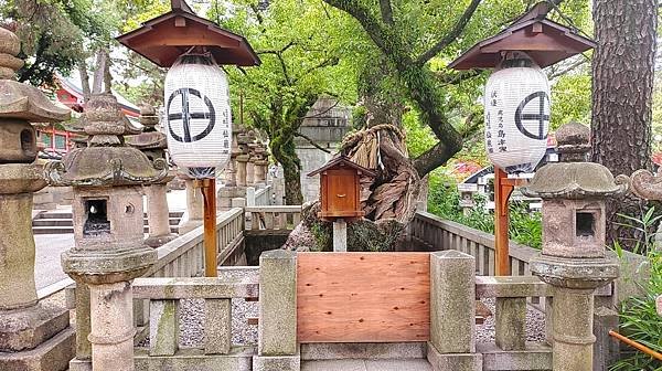 【國寶級神社-住吉大社】大阪必訪能量景點.反橋.住吉神社.種