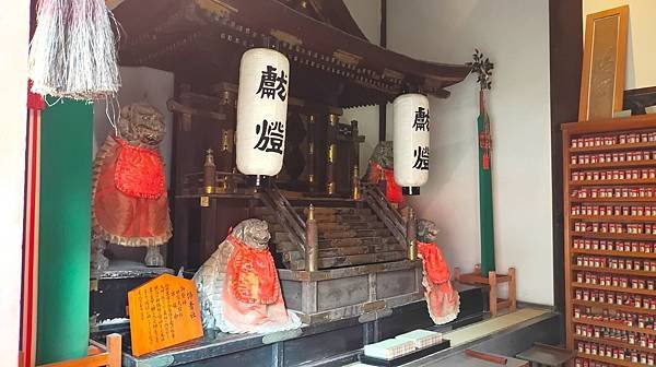 【國寶級神社-住吉大社】大阪必訪能量景點.反橋.住吉神社.種