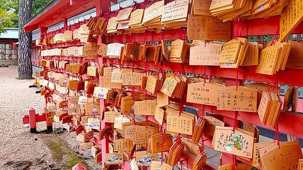 【國寶級神社-住吉大社】大阪必訪能量景點.反橋.住吉神社.種