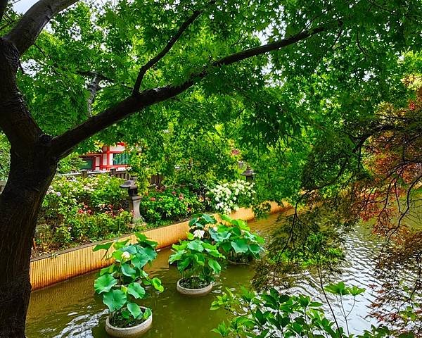 【戀愛神社 生田神社】1800年以上之古老神社之旅.置身在神