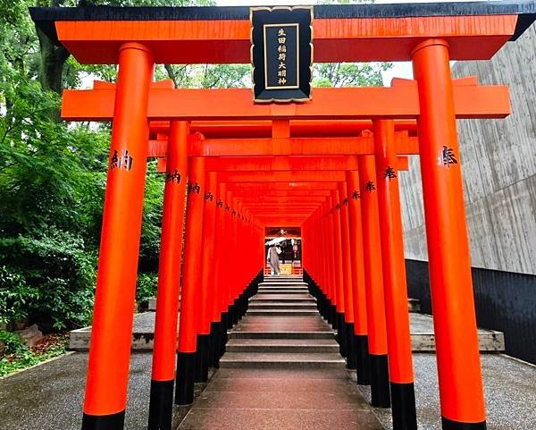 【戀愛神社 生田神社】1800年以上之古老神社之旅.置身在神