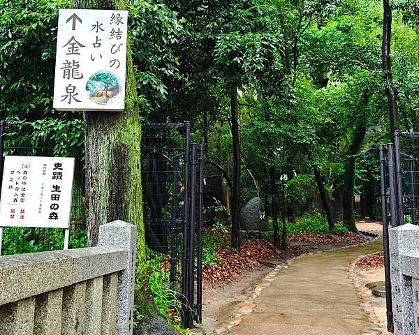 【戀愛神社 生田神社】1800年以上之古老神社之旅.置身在神