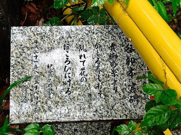 【戀愛神社 生田神社】1800年以上之古老神社之旅.置身在神