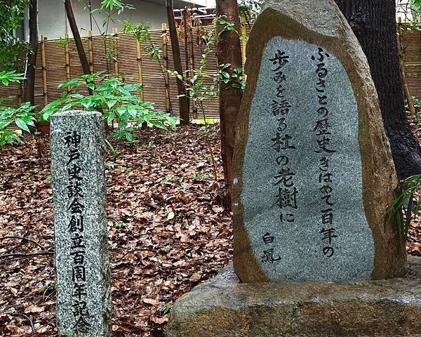 【戀愛神社 生田神社】1800年以上之古老神社之旅.置身在神