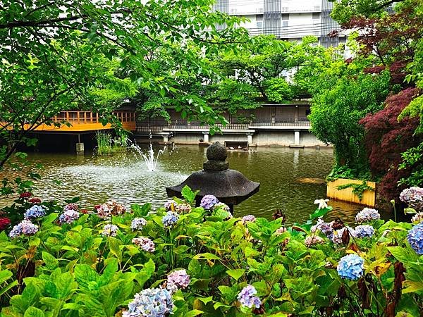 【戀愛神社 生田神社】1800年以上之古老神社之旅.置身在神