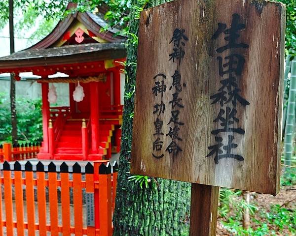 【戀愛神社 生田神社】1800年以上之古老神社之旅.置身在神