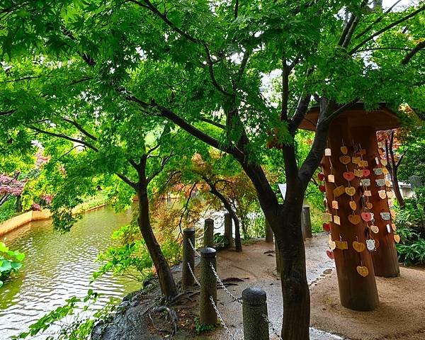 【戀愛神社 生田神社】1800年以上之古老神社之旅.置身在神