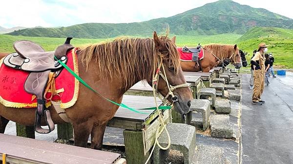 【熊本隨興遊D2-0723】特急かわせみやませみ.阿蘇站.阿