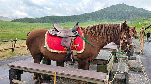 【熊本隨興遊D2-0723】特急かわせみやませみ.阿蘇站.阿