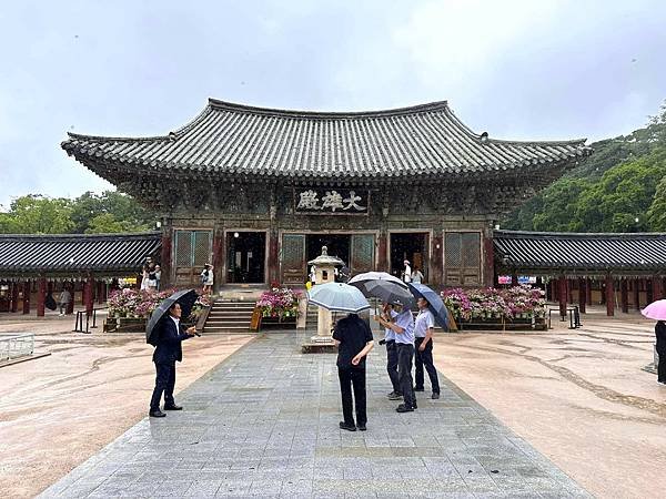 【韓國釜山隨興遊】慶州|大凌苑.天馬塚.通度寺.慶州國立博物