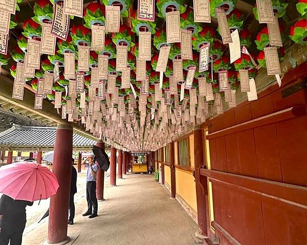 【韓國釜山隨興遊】慶州|大凌苑.天馬塚.通度寺.慶州國立博物