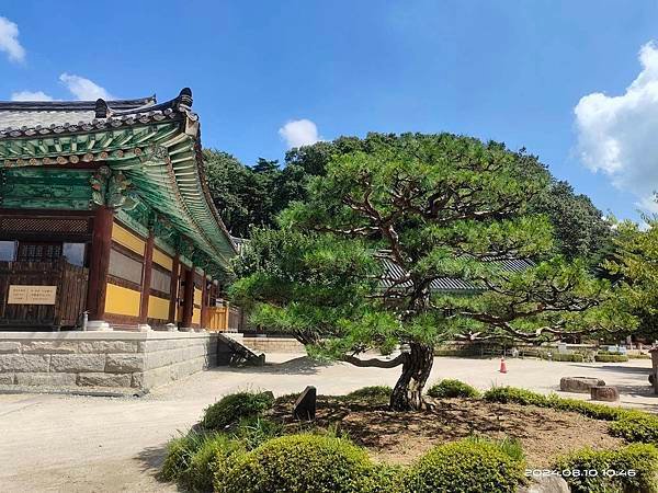 【韓國釜山隨興遊】慶州|大凌苑.天馬塚.通度寺.慶州國立博物