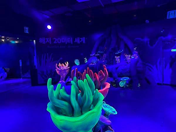 【韓國釜山隨興遊】釜山水族館.SEA LIFE BUSAN.