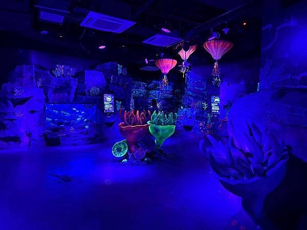 【韓國釜山隨興遊】釜山水族館.SEA LIFE BUSAN.