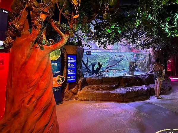 【韓國釜山隨興遊】釜山水族館.SEA LIFE BUSAN.