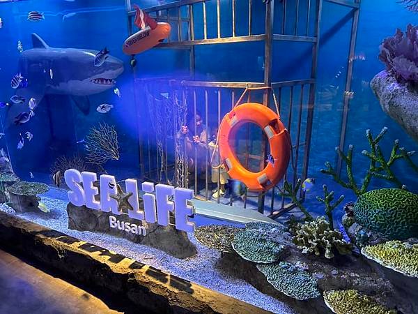 【韓國釜山隨興遊】釜山水族館.SEA LIFE BUSAN.