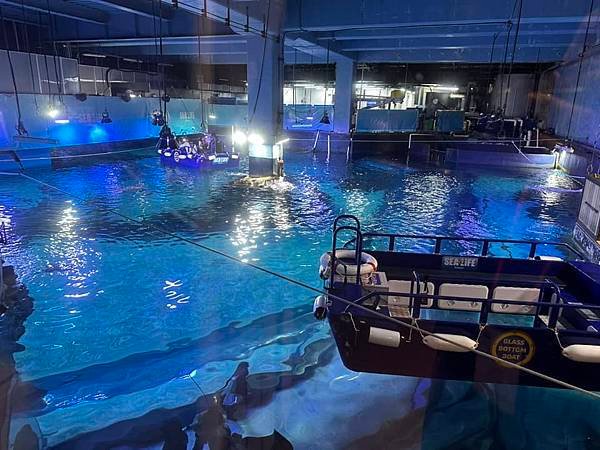 【韓國釜山隨興遊】釜山水族館.SEA LIFE BUSAN.