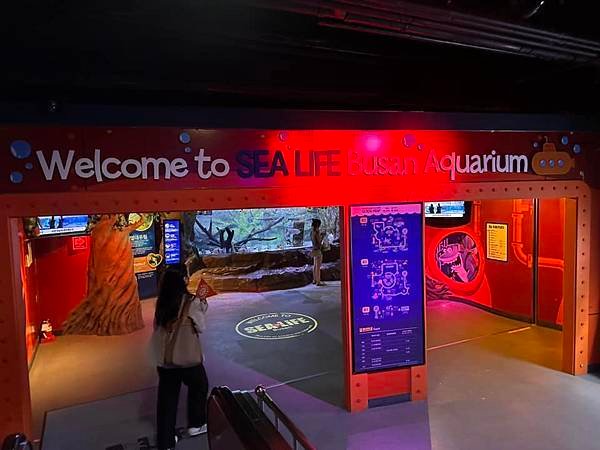 【韓國釜山隨興遊】釜山水族館.SEA LIFE BUSAN.