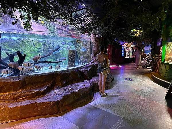 【韓國釜山隨興遊】釜山水族館.SEA LIFE BUSAN.