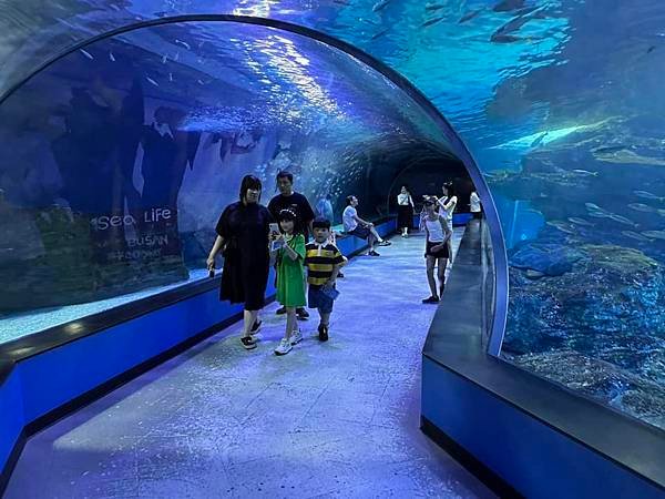 【韓國釜山隨興遊】釜山水族館.SEA LIFE BUSAN.