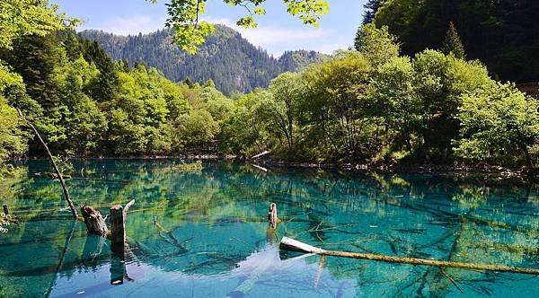 【九寨千古情】九寨溝熊貓基地.南橋古街.岷江峽谷風光.牟尼溝