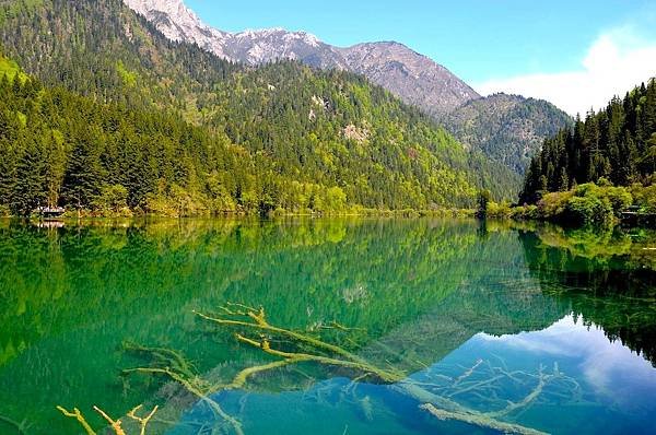 【九寨千古情】九寨溝熊貓基地.南橋古街.岷江峽谷風光.牟尼溝