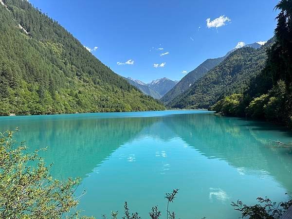 【九寨千古情】九寨溝熊貓基地.南橋古街.岷江峽谷風光.牟尼溝