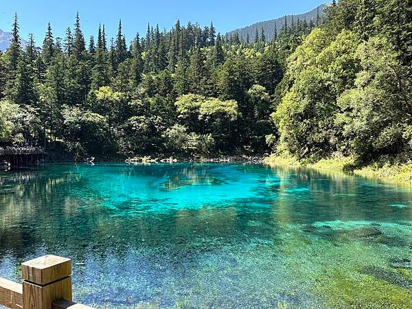 【九寨千古情】九寨溝熊貓基地.南橋古街.岷江峽谷風光.牟尼溝