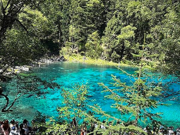 【九寨千古情】九寨溝熊貓基地.南橋古街.岷江峽谷風光.牟尼溝