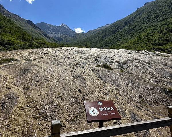 【九寨千古情】九寨溝熊貓基地.南橋古街.岷江峽谷風光.牟尼溝