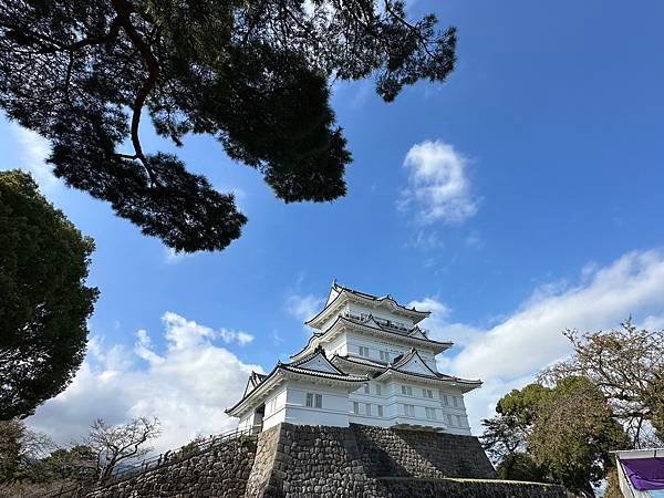 秋天賞楓趣=秋天不賞楓要幹嘛2024.輕井澤.雲場池.採菓.