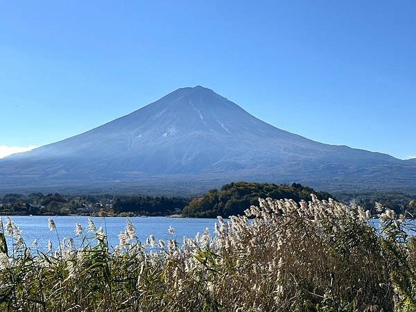 秋天賞楓趣=秋天不賞楓要幹嘛2024.輕井澤.雲場池.採菓.